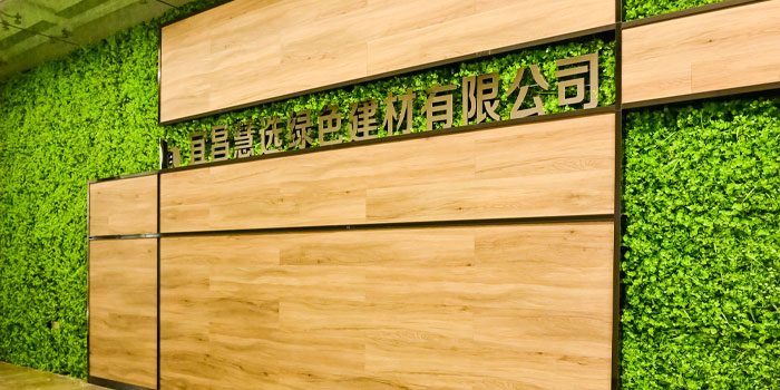 集團(tuán)戰(zhàn)略